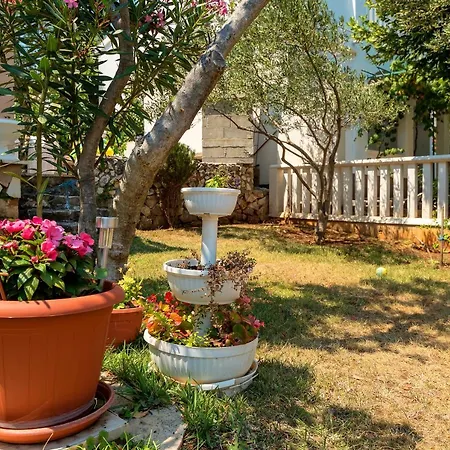Oleander Rogoznica (Sibenik-Knin)